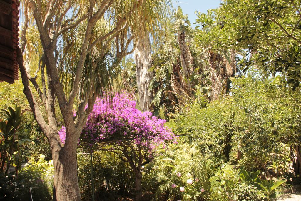 산 조르지오 Le Palme Garden 빌라 외부 사진